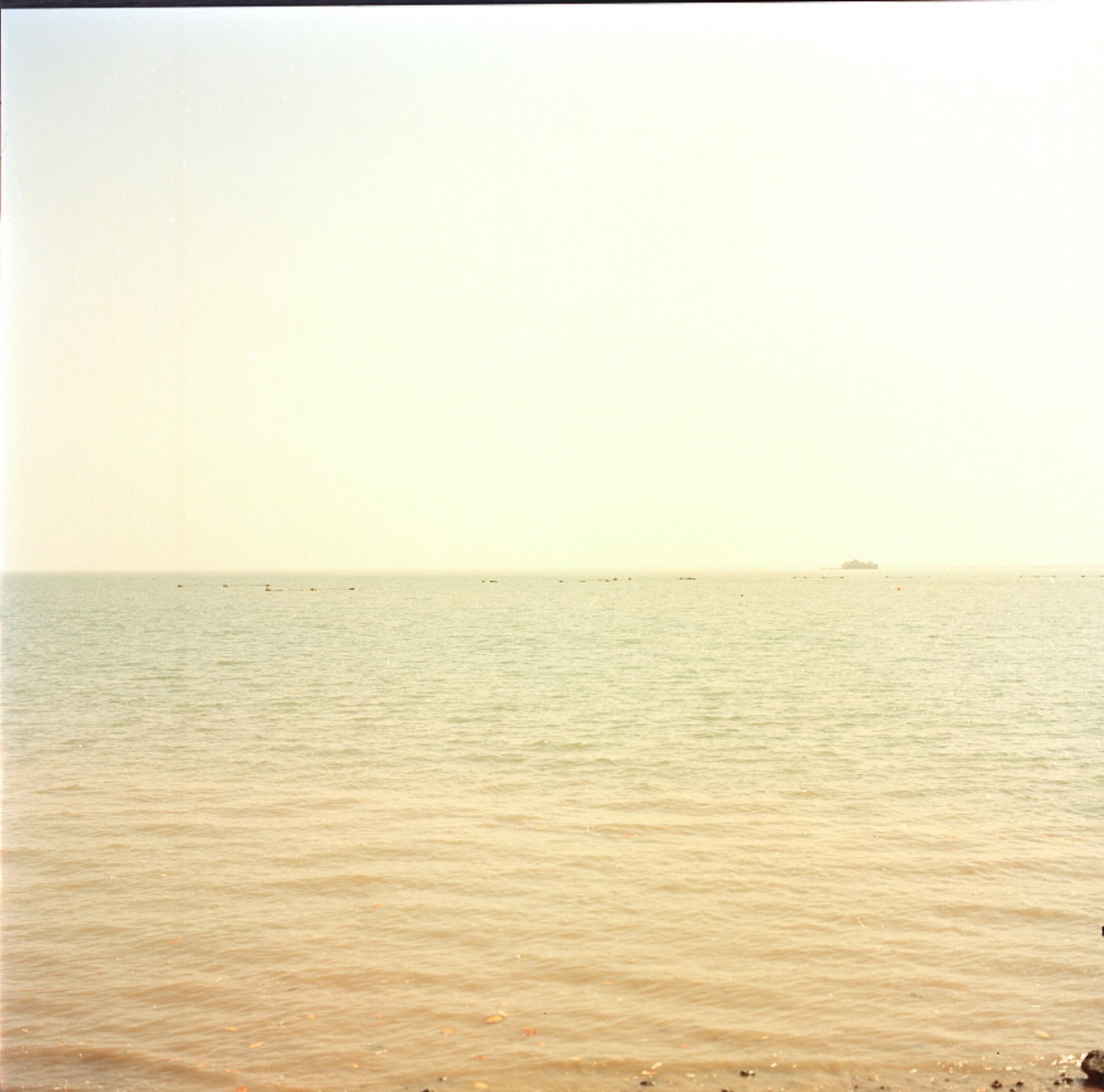 Home.coming. 4.jpg