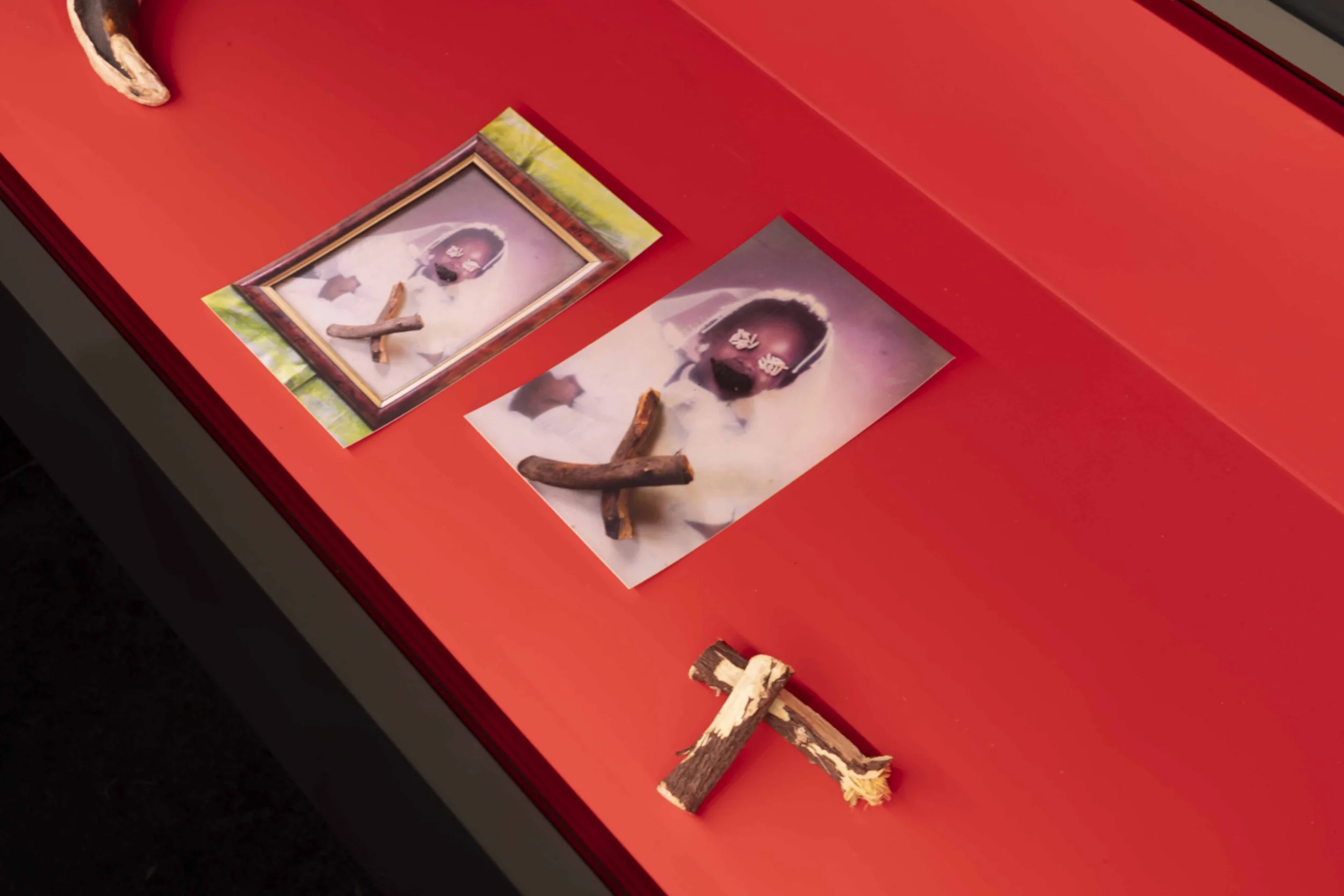 Photo: Jordi Puig. Courtesy of Institut de Cultura de Barcelona (ICUB). Licensed under CC BY.