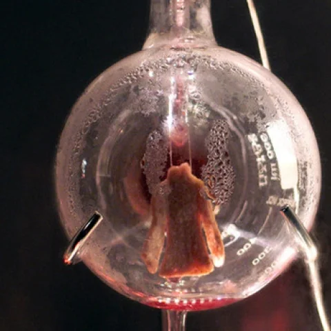 Five Australian projects featured at Science Gallery