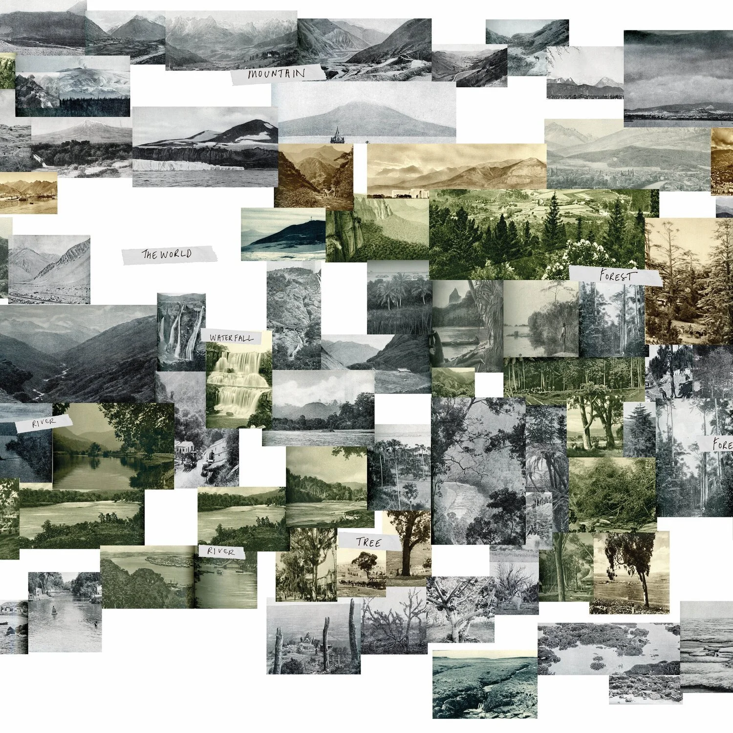 Laws of Ordered Form