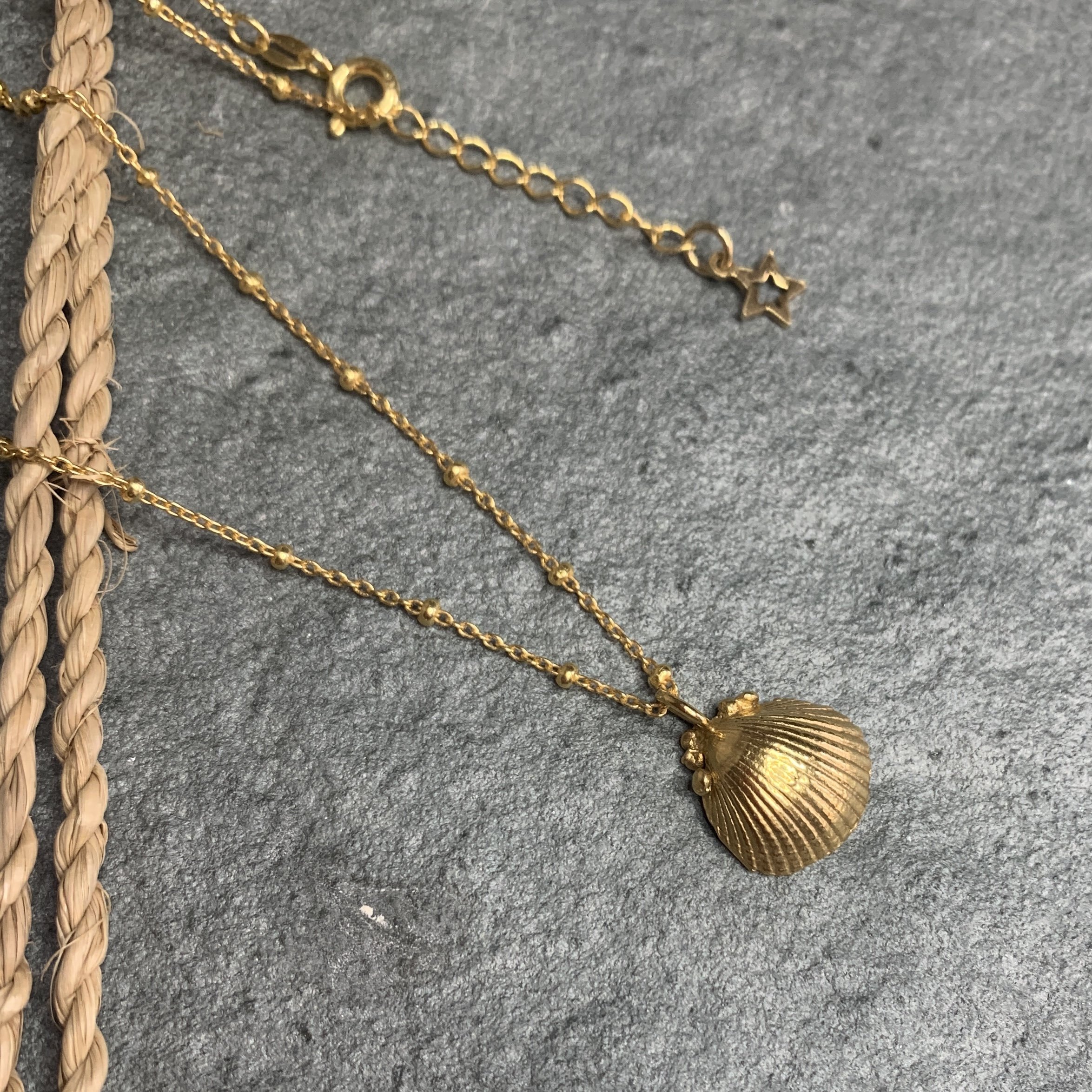 Scallop Shell Necklace | Brass | Elaine Coyne