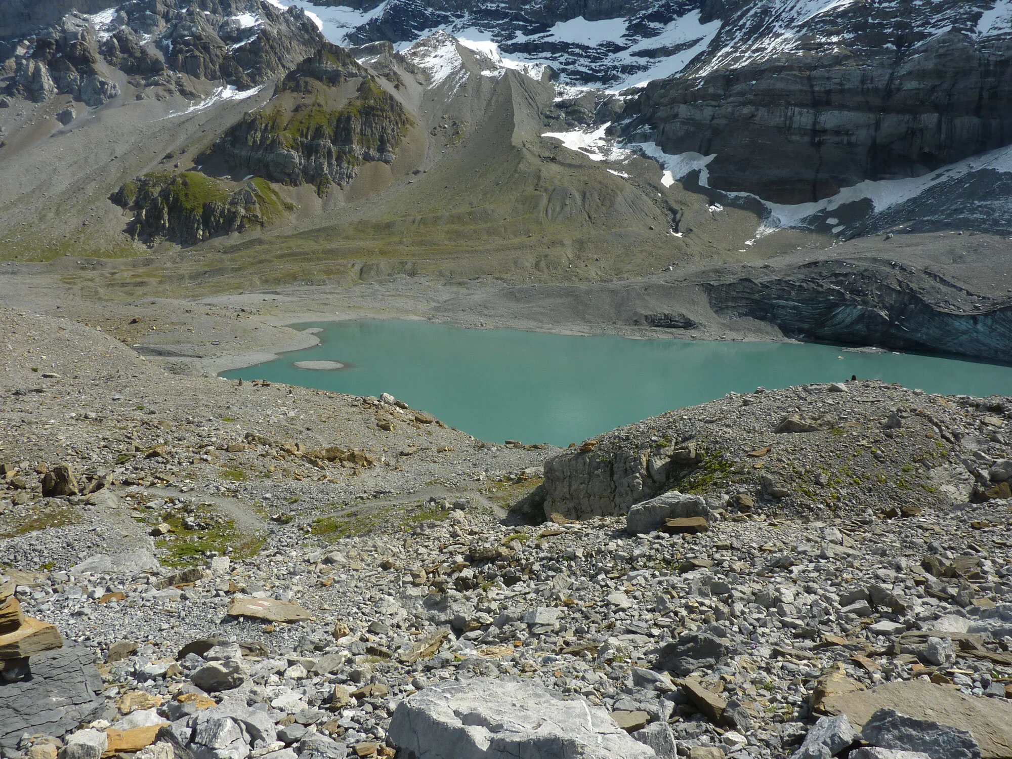 alpine-pilze-alpines-gebiet.jpeg