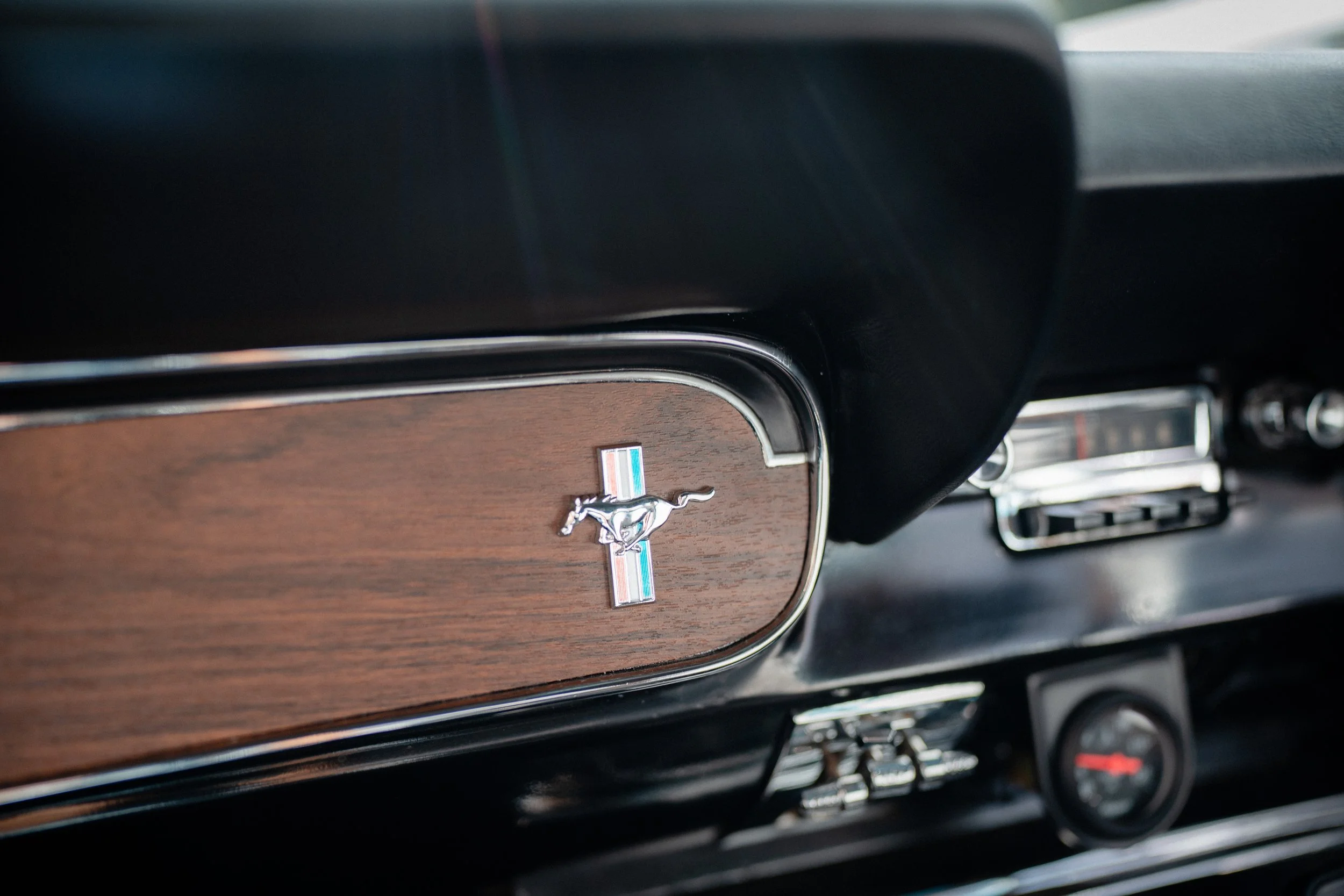 Casey Lucas-0306.jpg