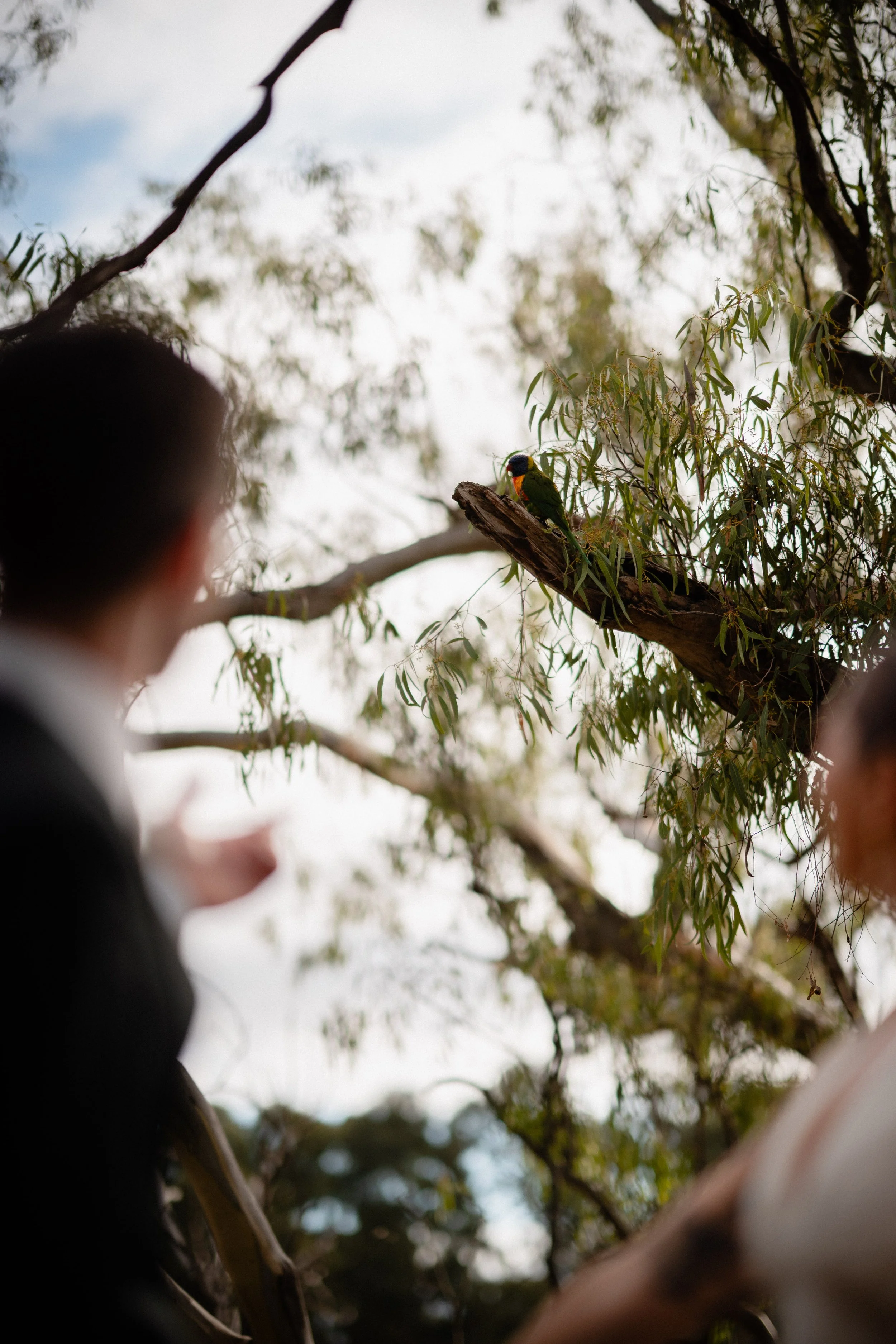 Casey Lucas-0350.jpg