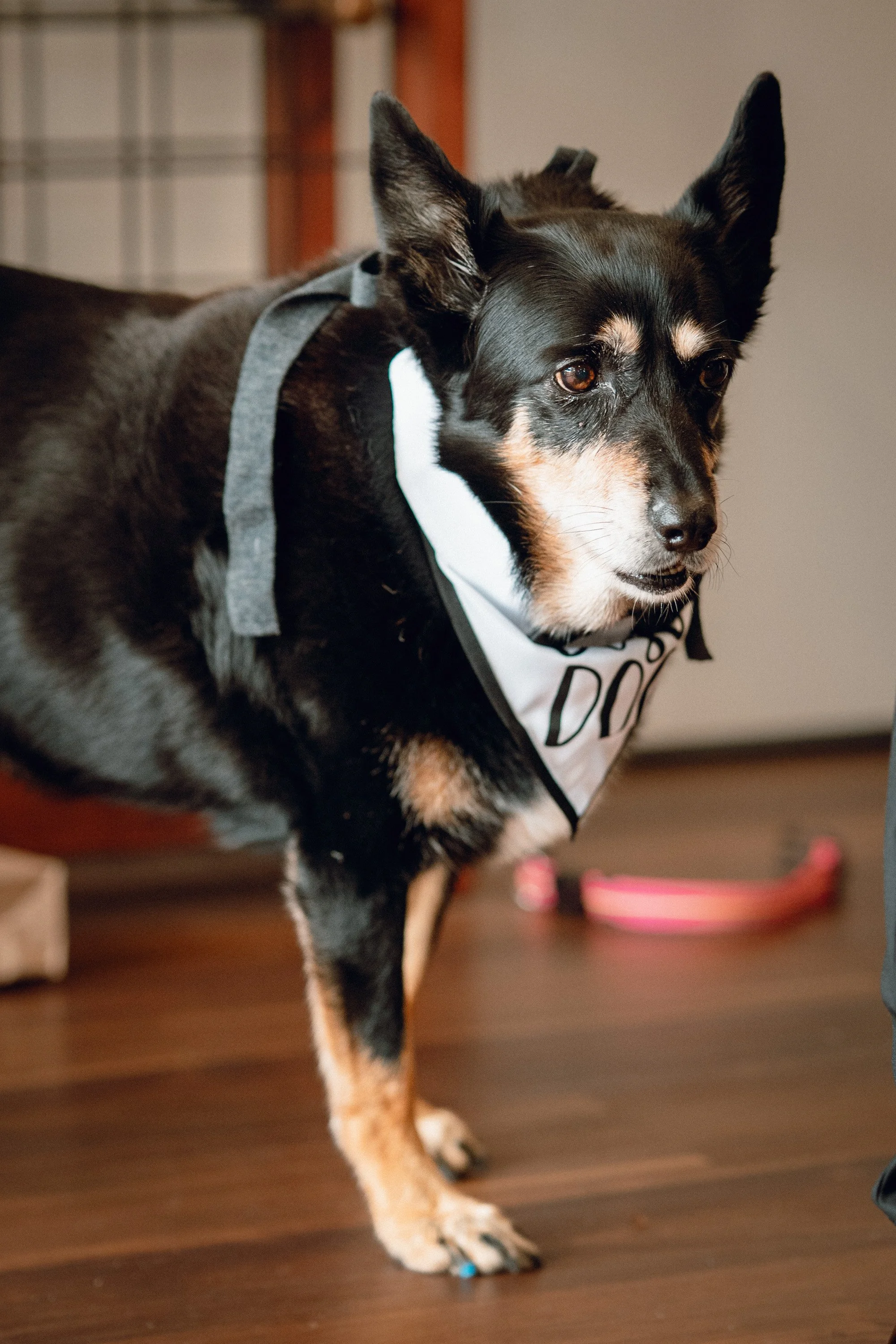 BridgeRicky-025.jpg