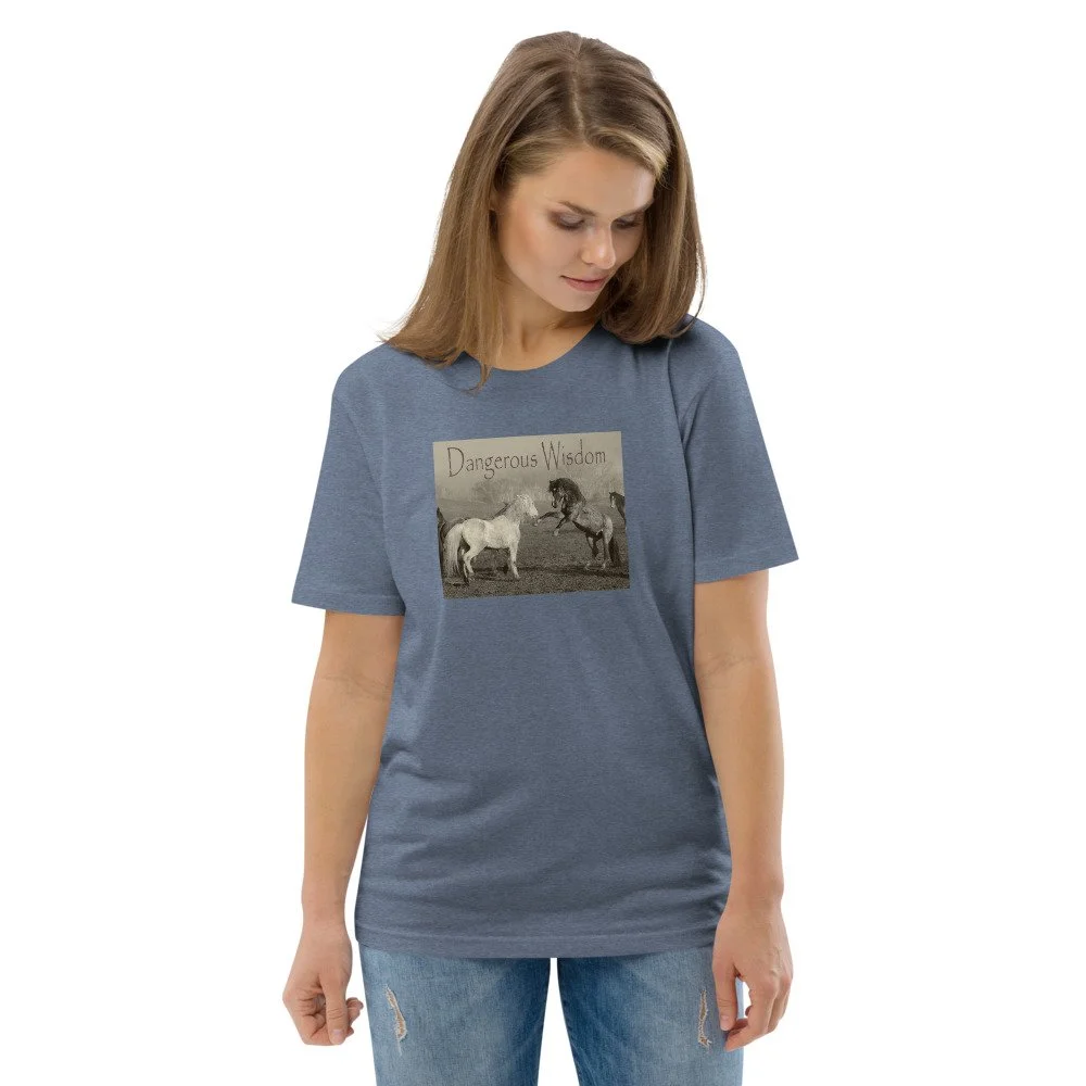 unisex-organic-cotton-t-shirt-dark-heather-blue-front-2-62873df6b173b.jpg