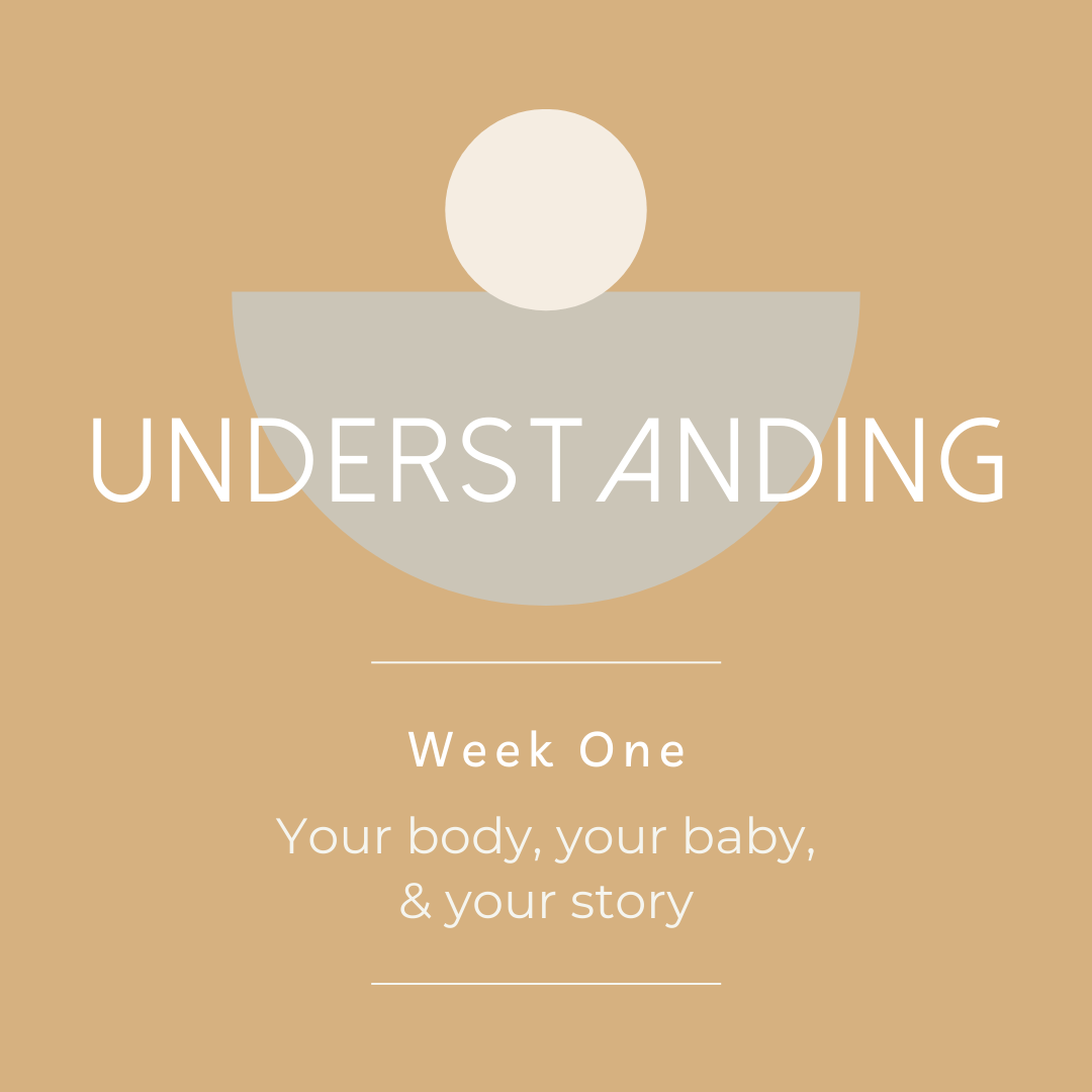   Understanding Your Baby  better and how to relax the belly. Plus, sling introduction. You will develop real skills here on how to handle your new baby confidently, helping them to relax more fully which in turn helps you to feel more at ease. Also 