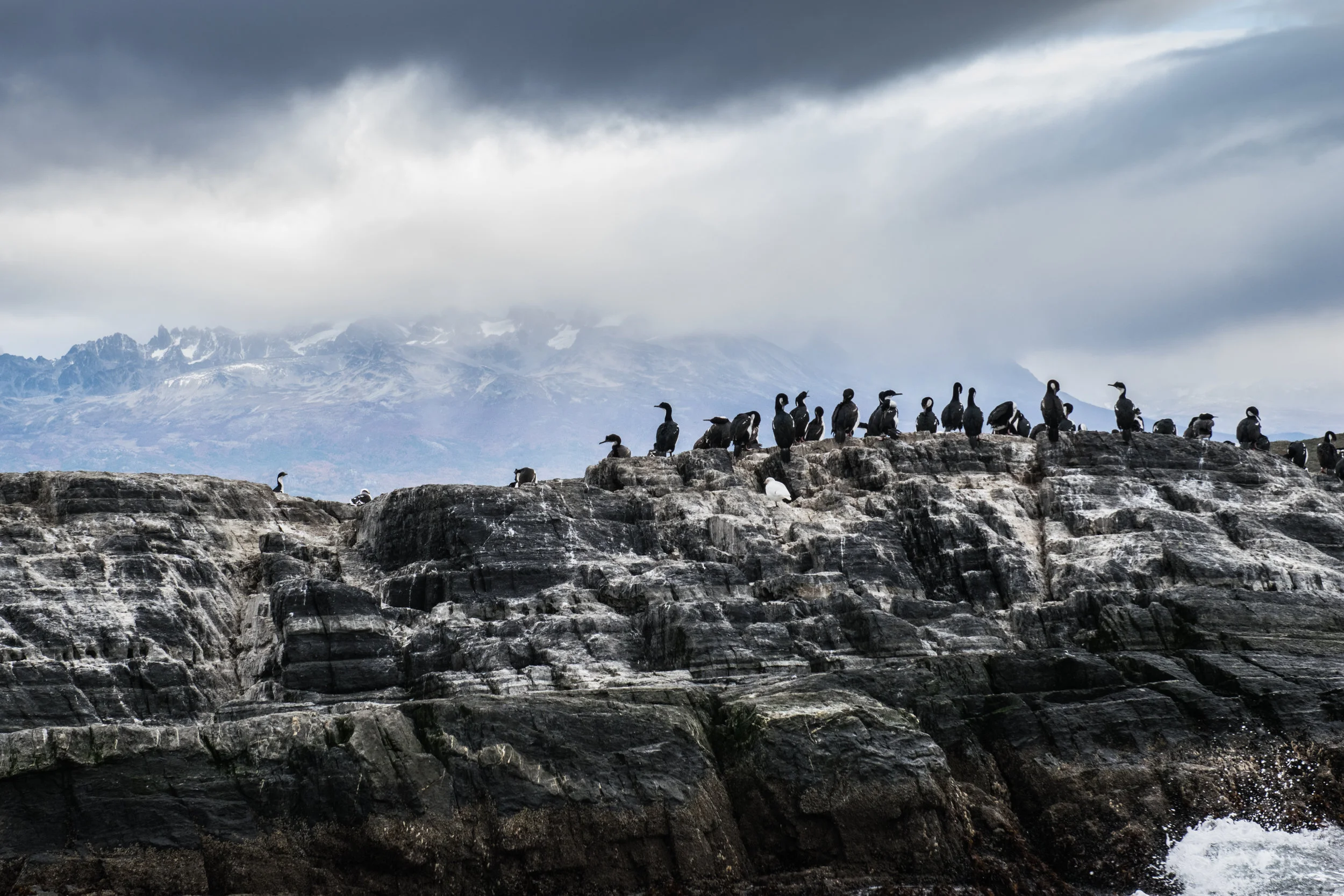 Bird Island, Ushuaia, Argentina