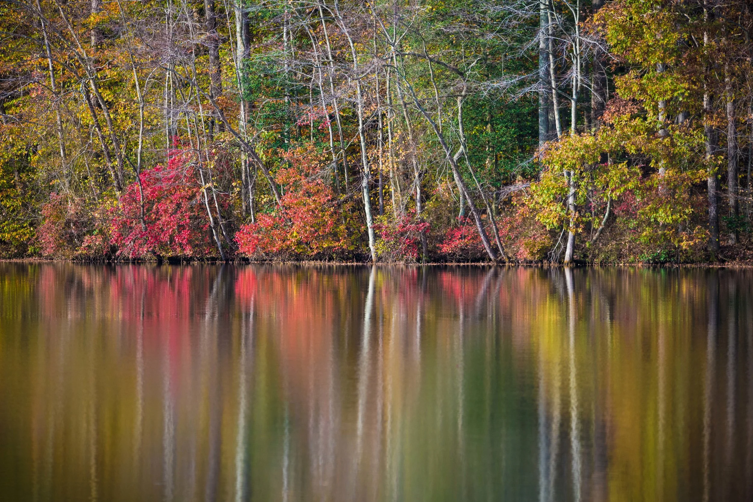 Fall Reflections, Burke Lake, Virignia