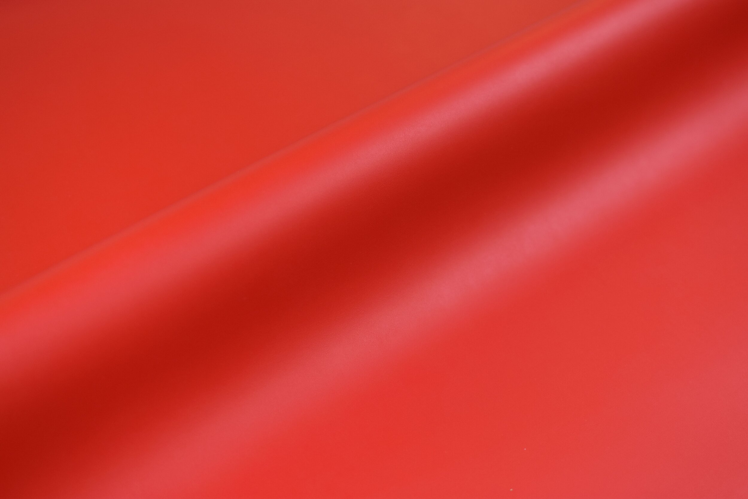 vivid5b.jpg