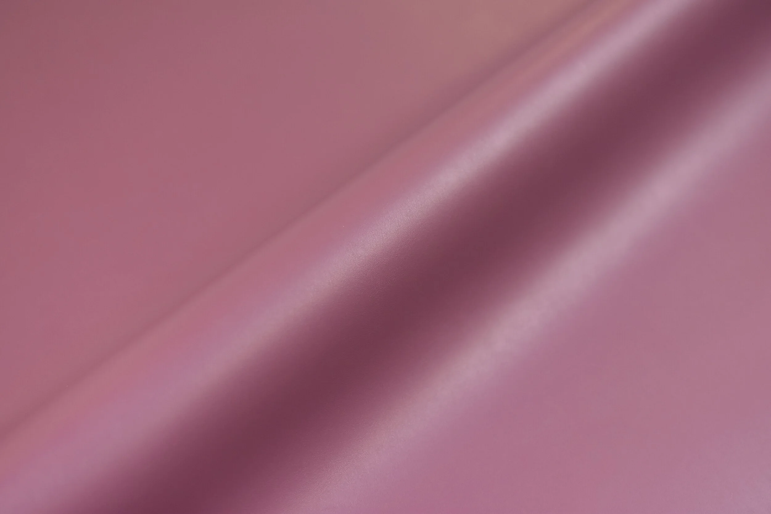 vivid6a.jpg