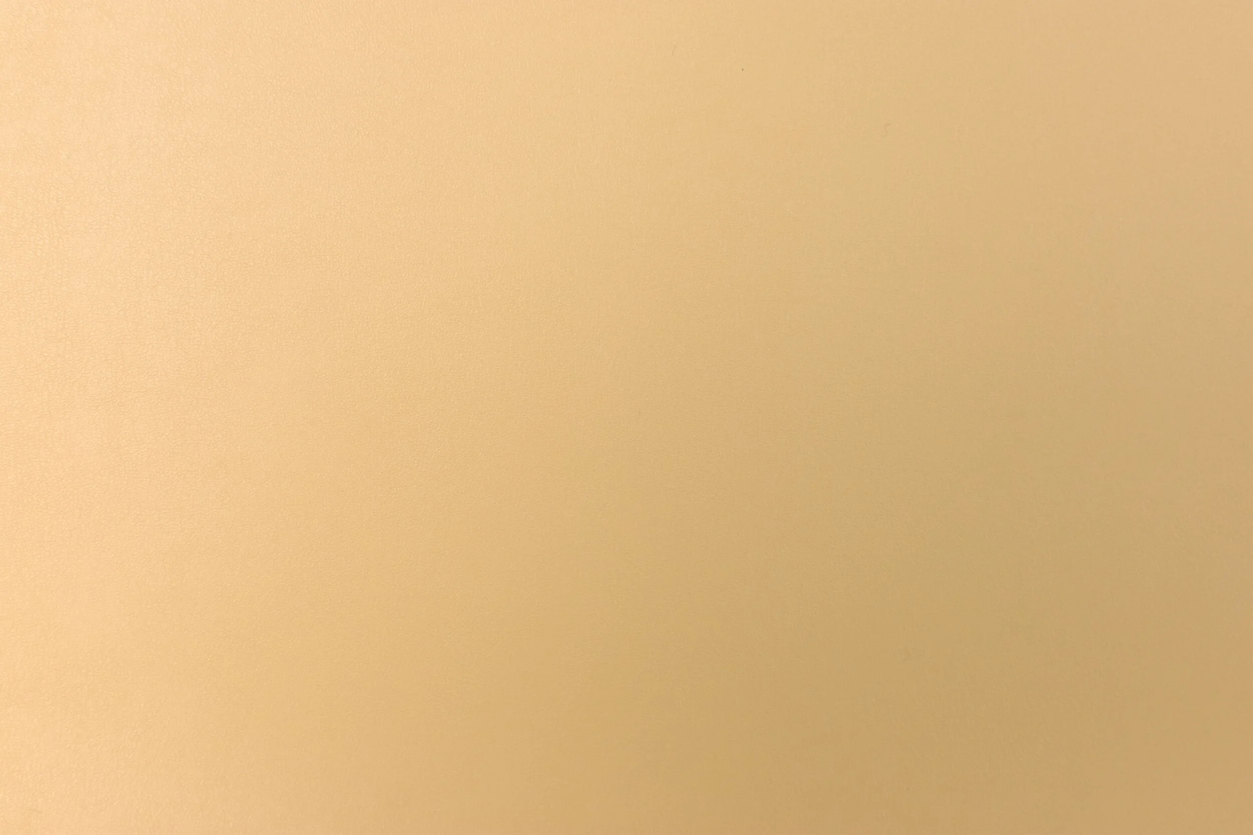 vivid4.jpg