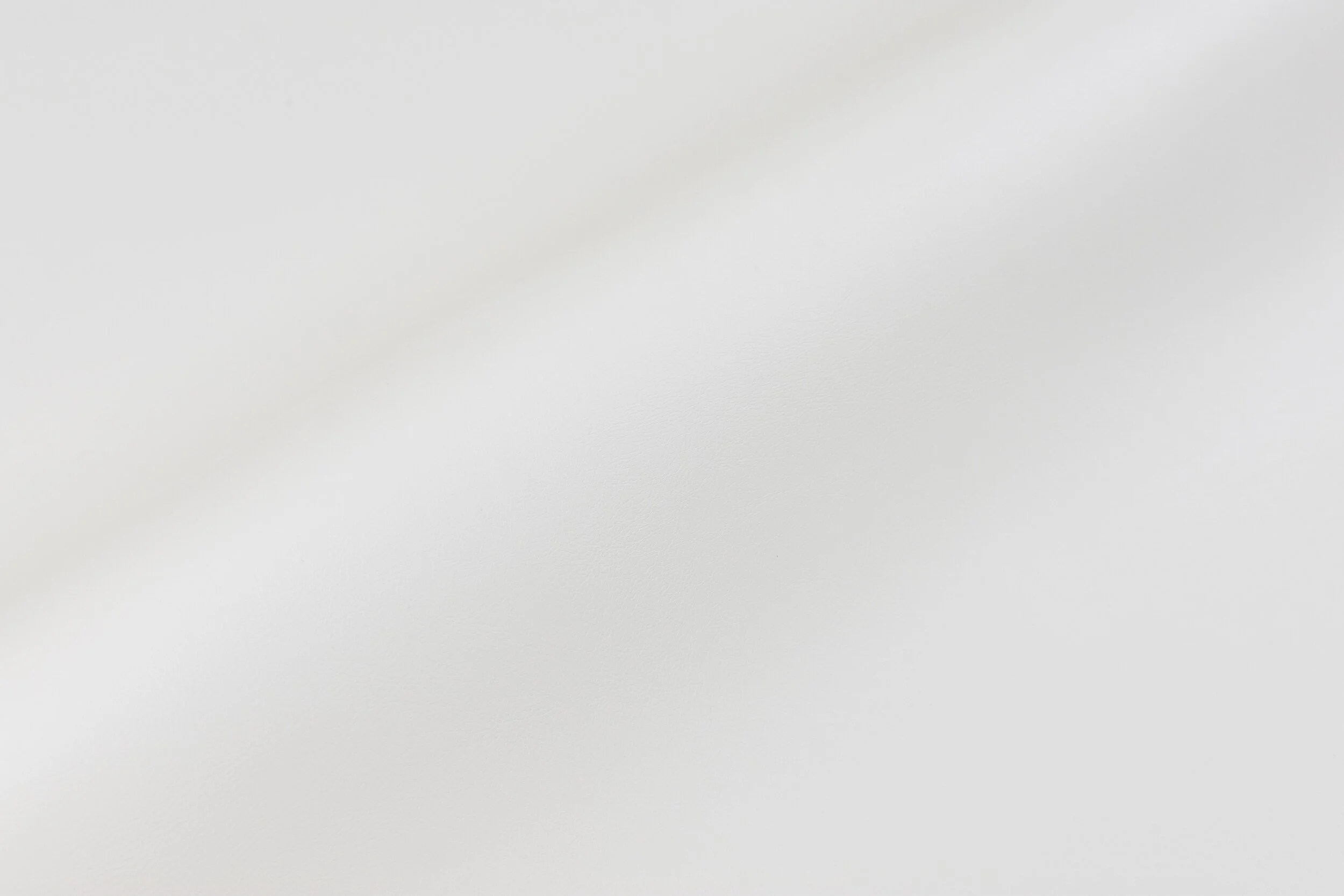 seagull1a.jpg
