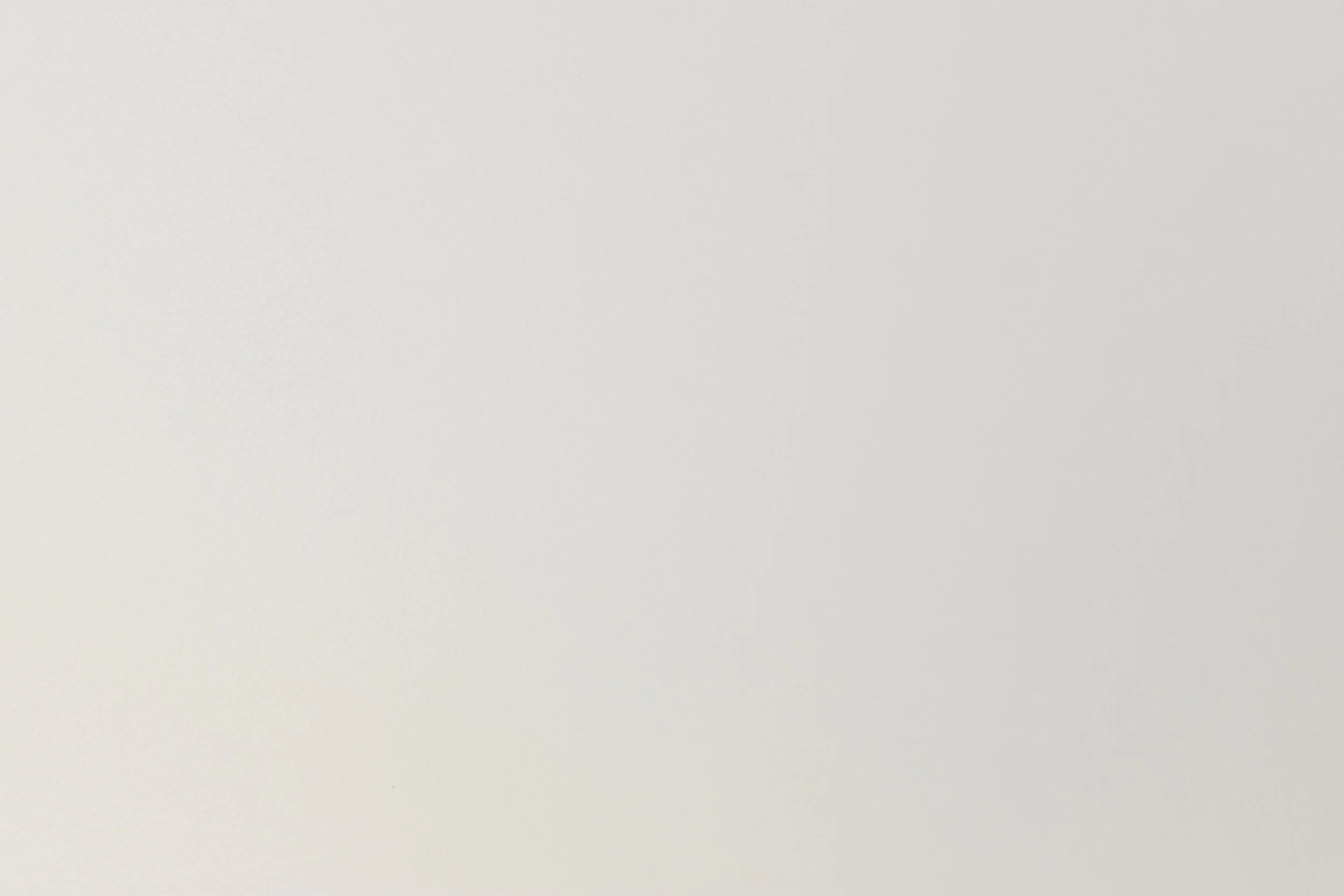 seagull2.jpg