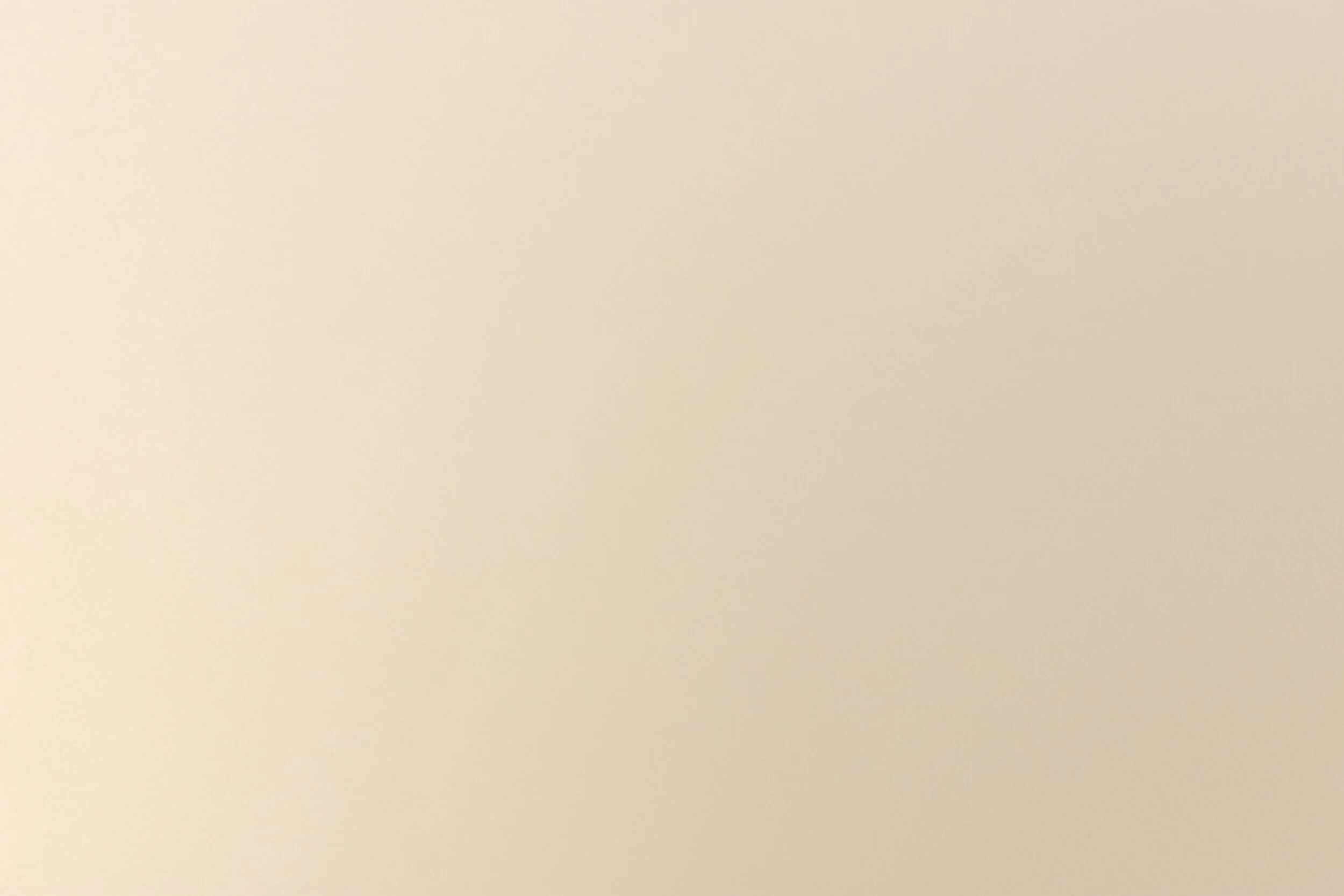 seagull3.jpg