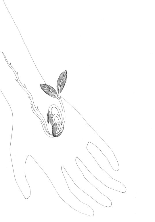 02-156-seed-arm.png