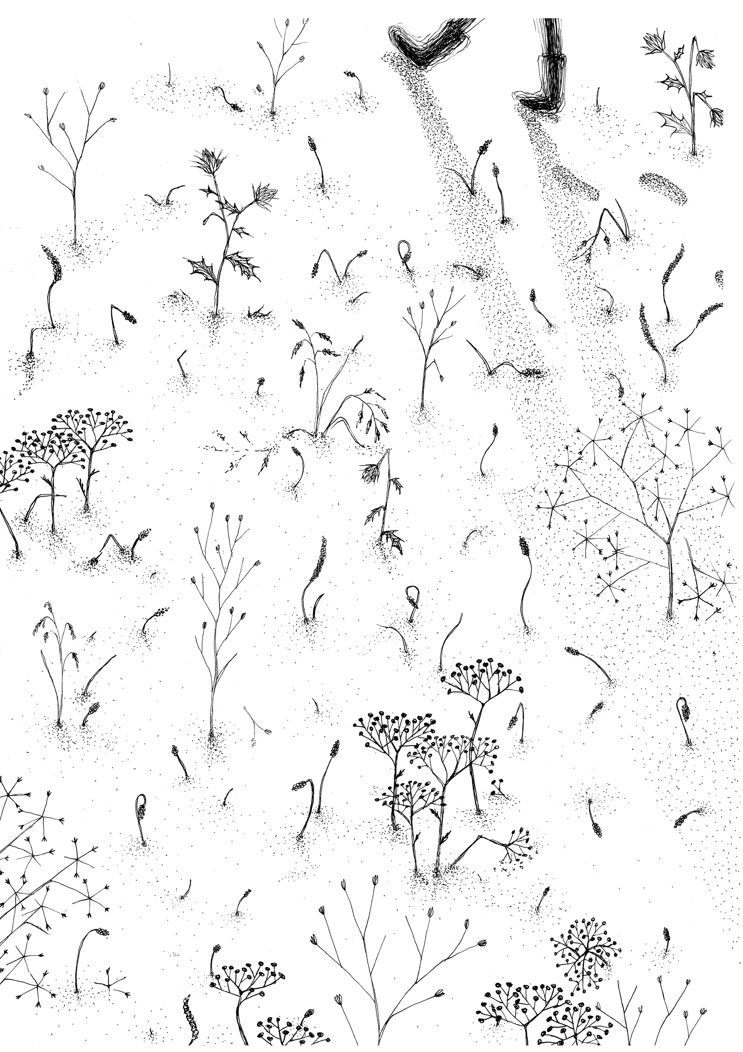 143a-slow-plants.jpg