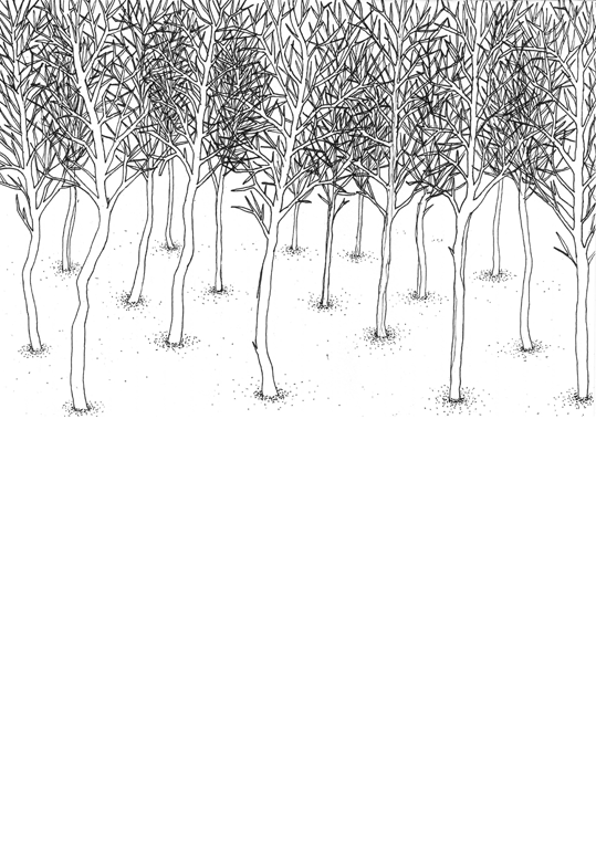 150-trees-in-snow.png