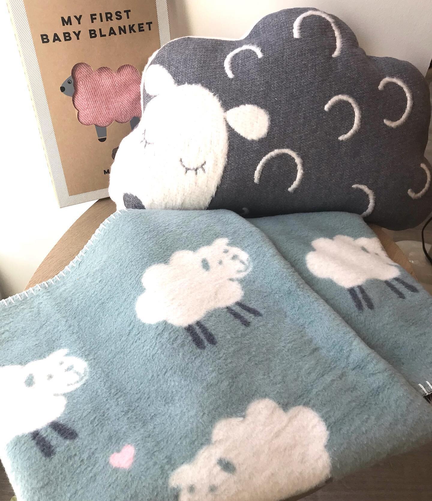 We have what is needed for the arrival of your little lamb: cozy blankets and matching soft cushions.