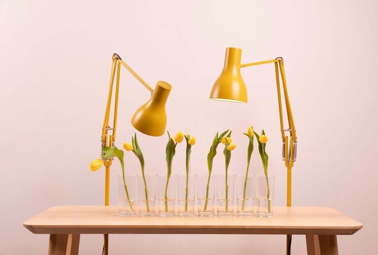 Happy Easter from the two of us! Juliane and Ren&eacute;e #anglepoise #lamp #margarethowell