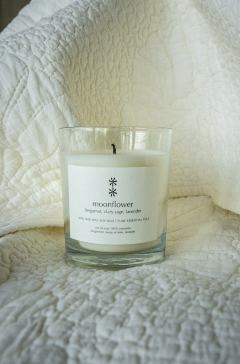 Screenshot 2026-02-19 at 12.26.43.png