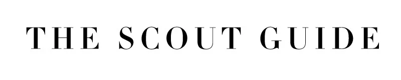 the-scout-guide-logo.jpg