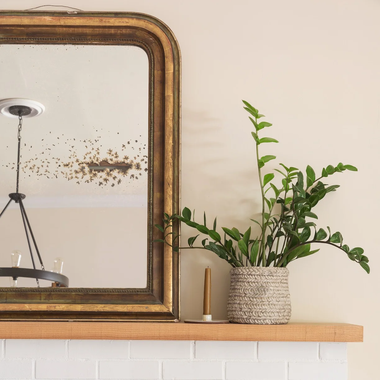 LauraHamilton_HomePhotoShoot.jpg