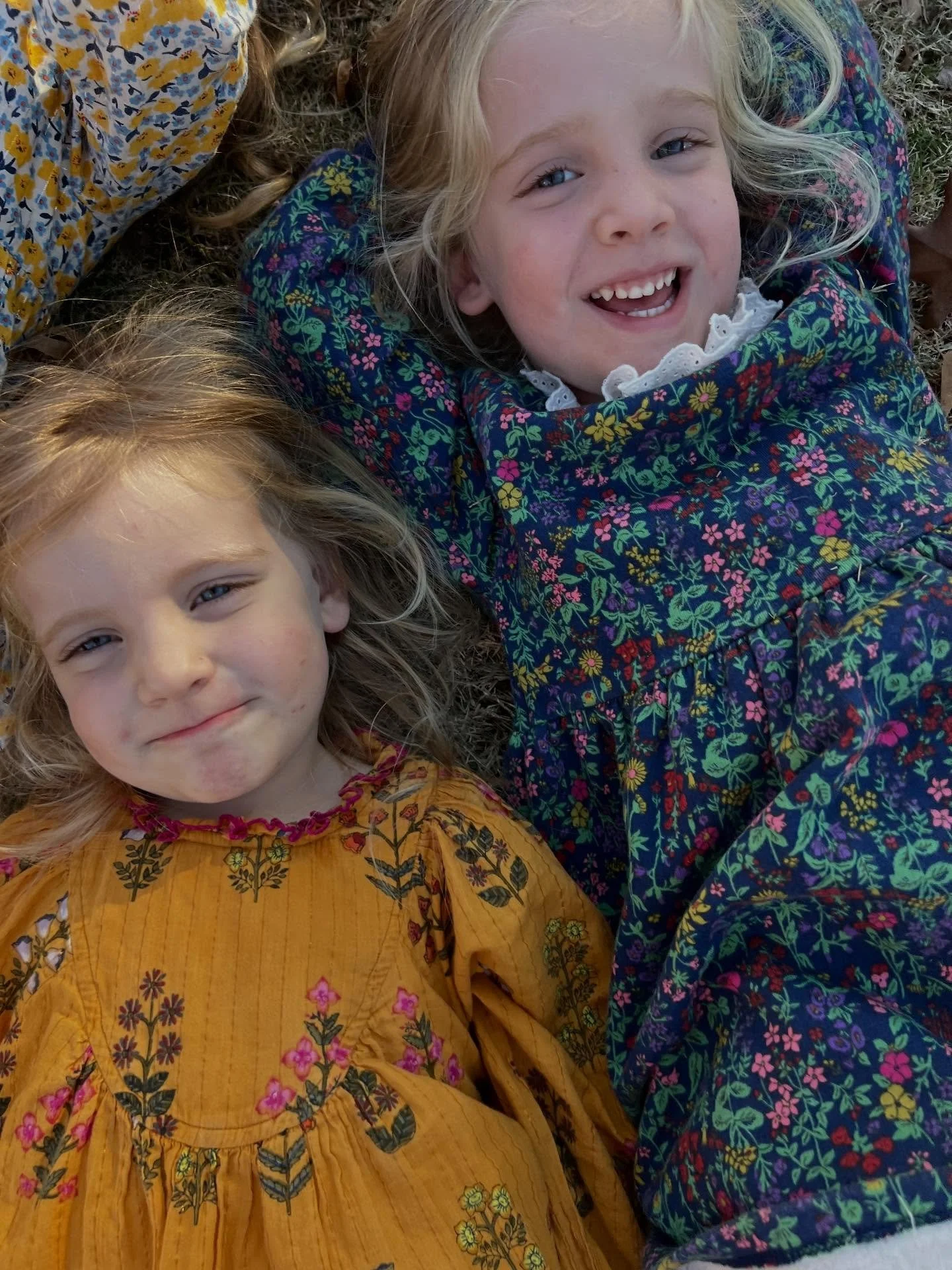 Sure am Grateful for these Turkeys!! Happy Thanksgiving! 🦃 🍽🍁