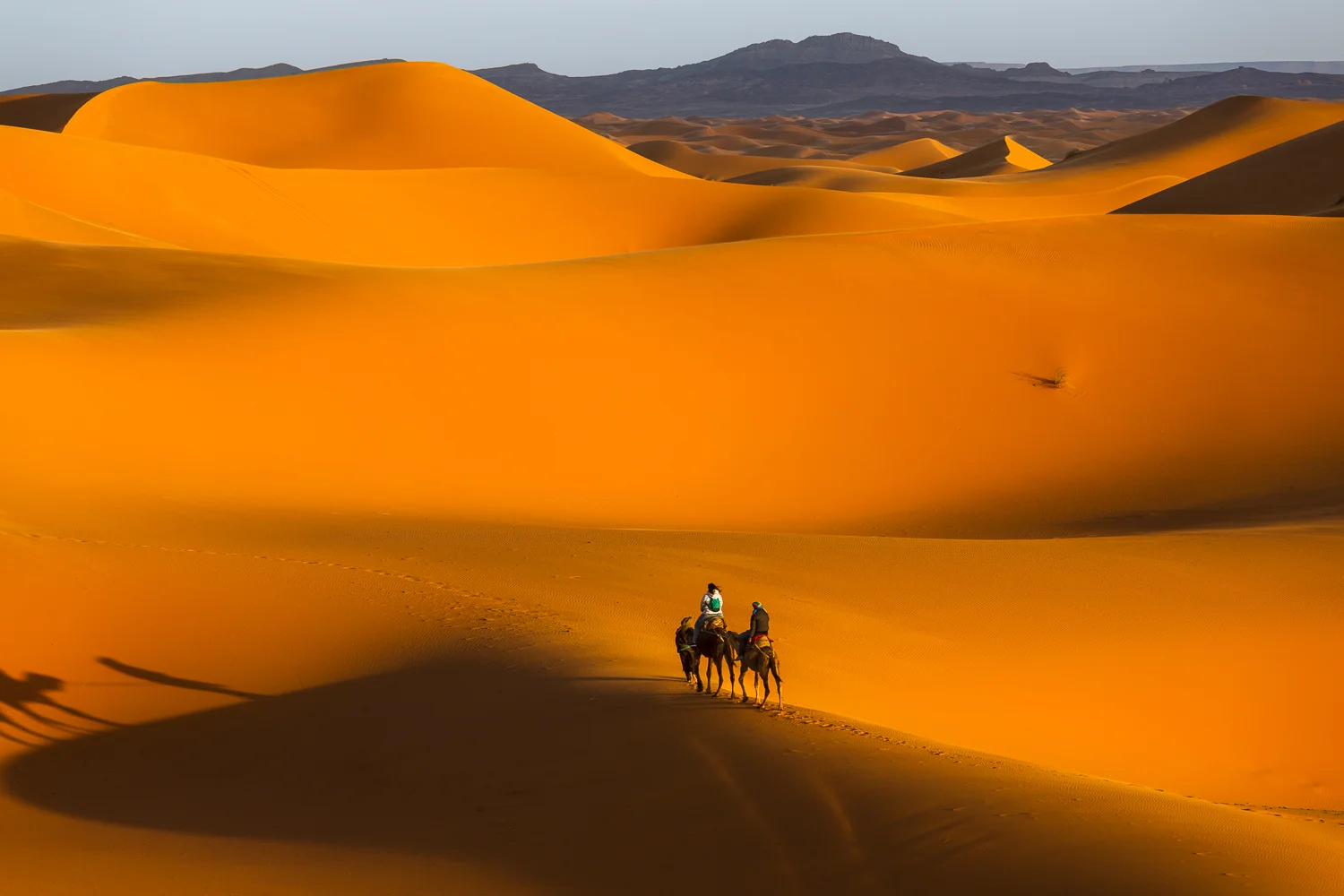 2018 5D 0586-Edit.jpg