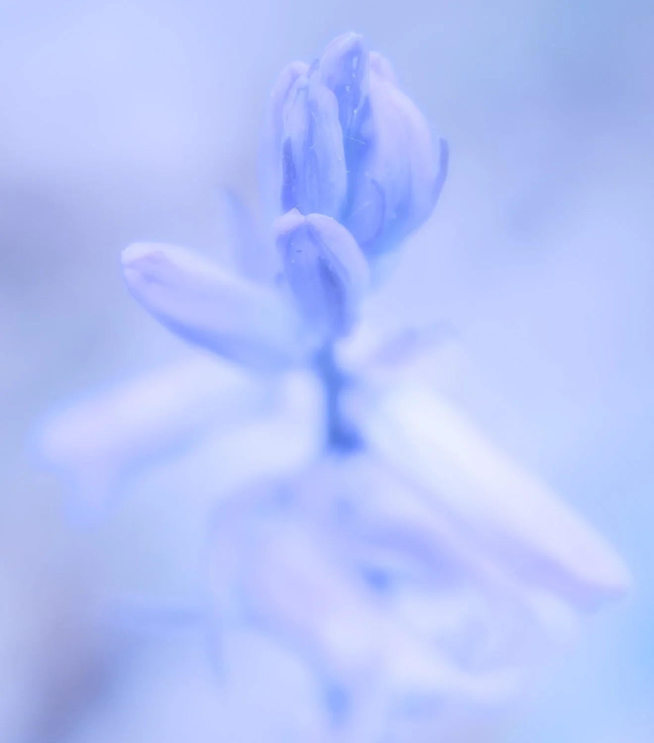 2022 5D 3350-1510-1668.jpg