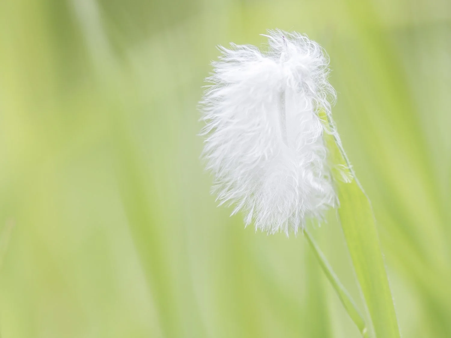 2023 5D 5228-Edit.jpg