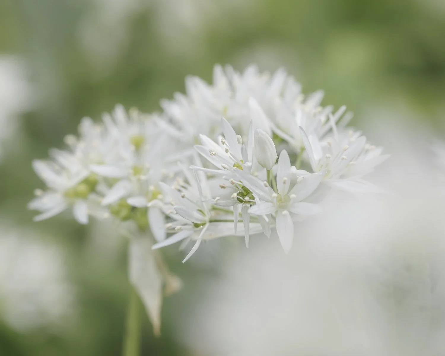 2023 5D 5290-Edit.jpg