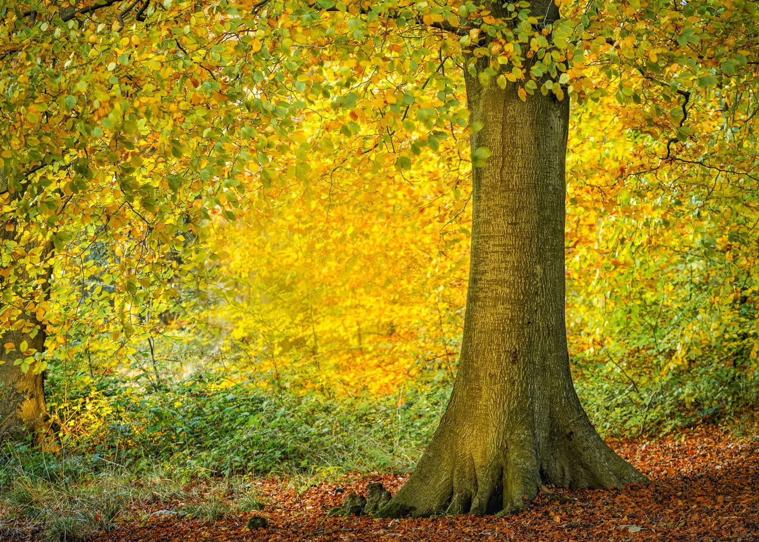 2023 5D 5985-Edit.jpg