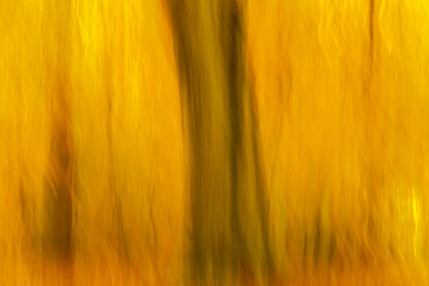 2024 5D 7164-Edit.jpg