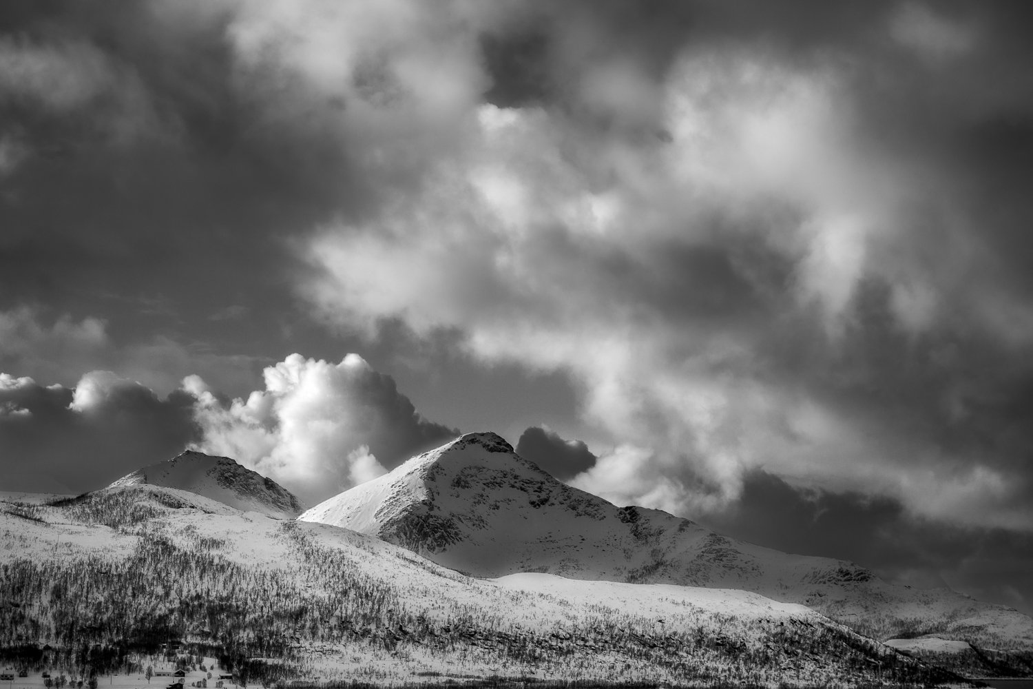 2020 5D 0368-1855.jpg
