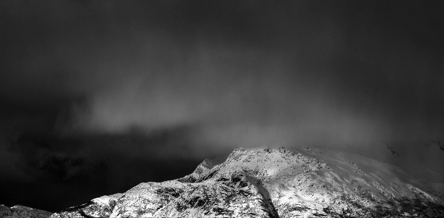 2020 5D 0375-414.jpg
