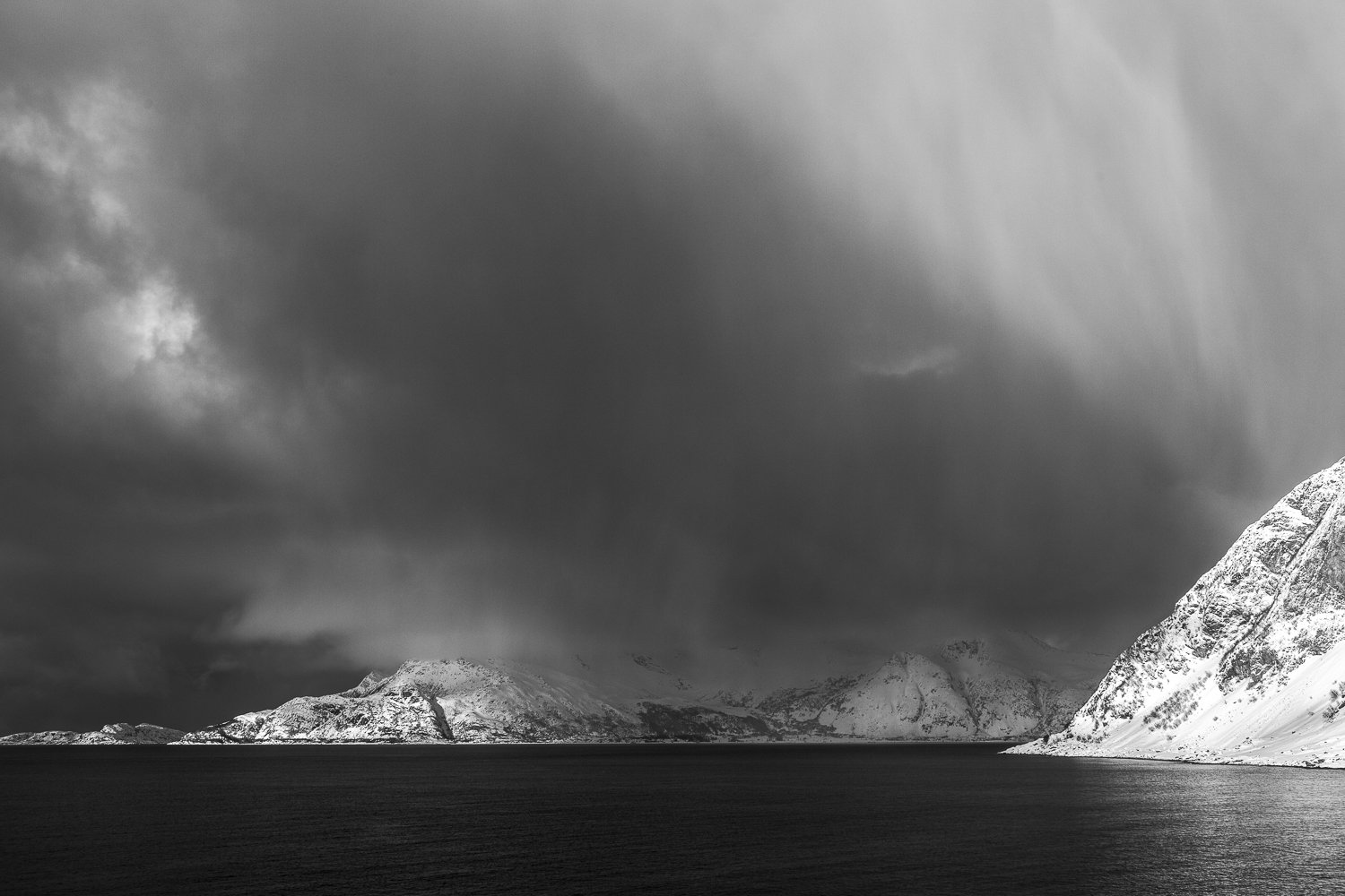 2020 5D 0374-410.jpg