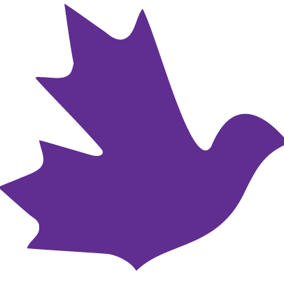 Basic Income Canada Network Newsletter