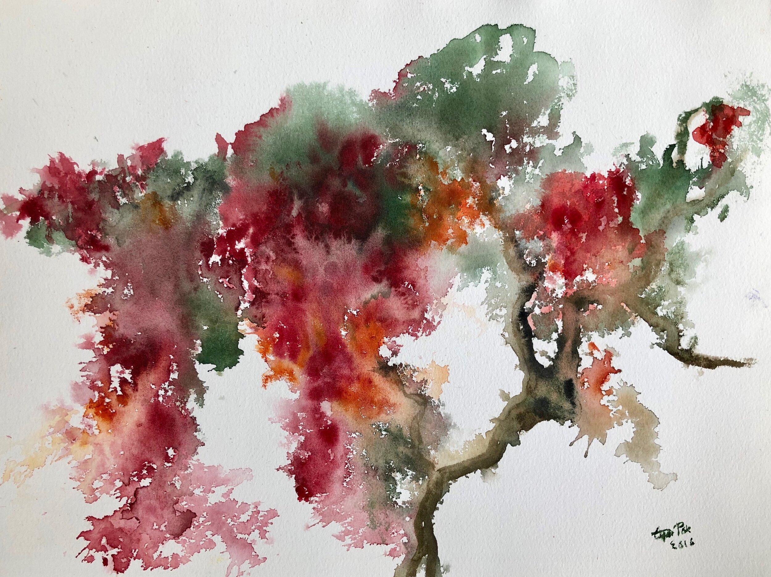  BOUGAINVILLE, 2016, 30x40cm 