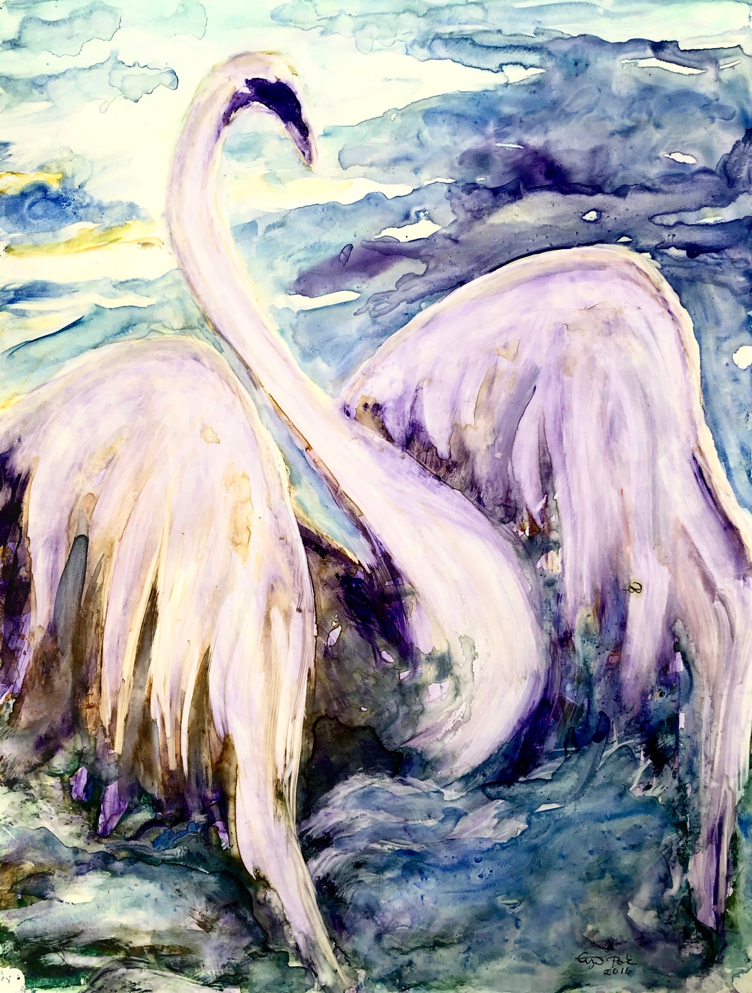  SWAN, 2016, 42x31 