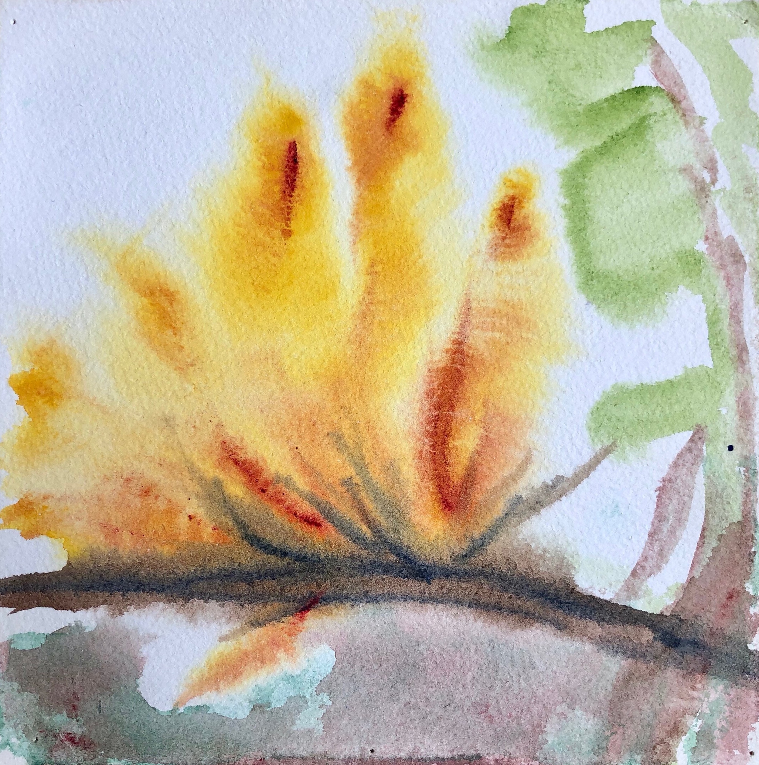  PARADISE FLOWER, 2014, 20x20cm 