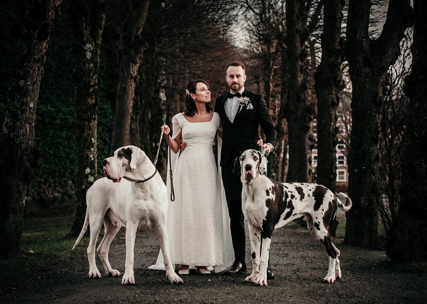 Maria + Kristian 🖤

This day was so perfect and just full of surprises.
Not only was the weather perfect, but as we were taking the formal photos these beautiful and majestic dogs came walking by. The lovely owners let us hang out with them for a fe