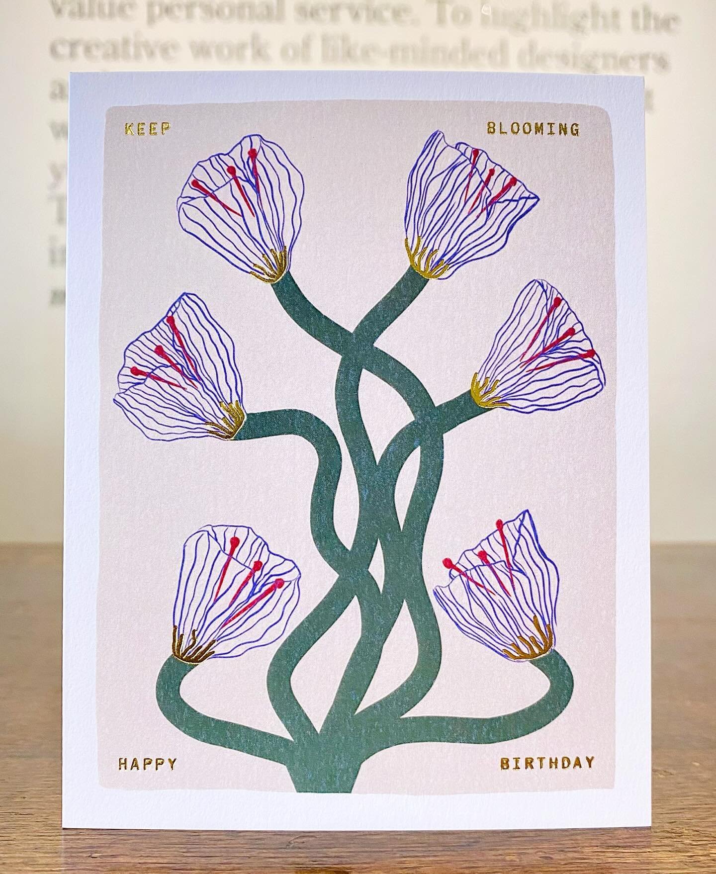 One of our favorite birthday cards by @carlallanosillustrations for @shopsomedaystudio to let everyone know that we&rsquo;ll be closed Wednesday and Thursday for Kimberley&rsquo;s birthday. 🌷🥳