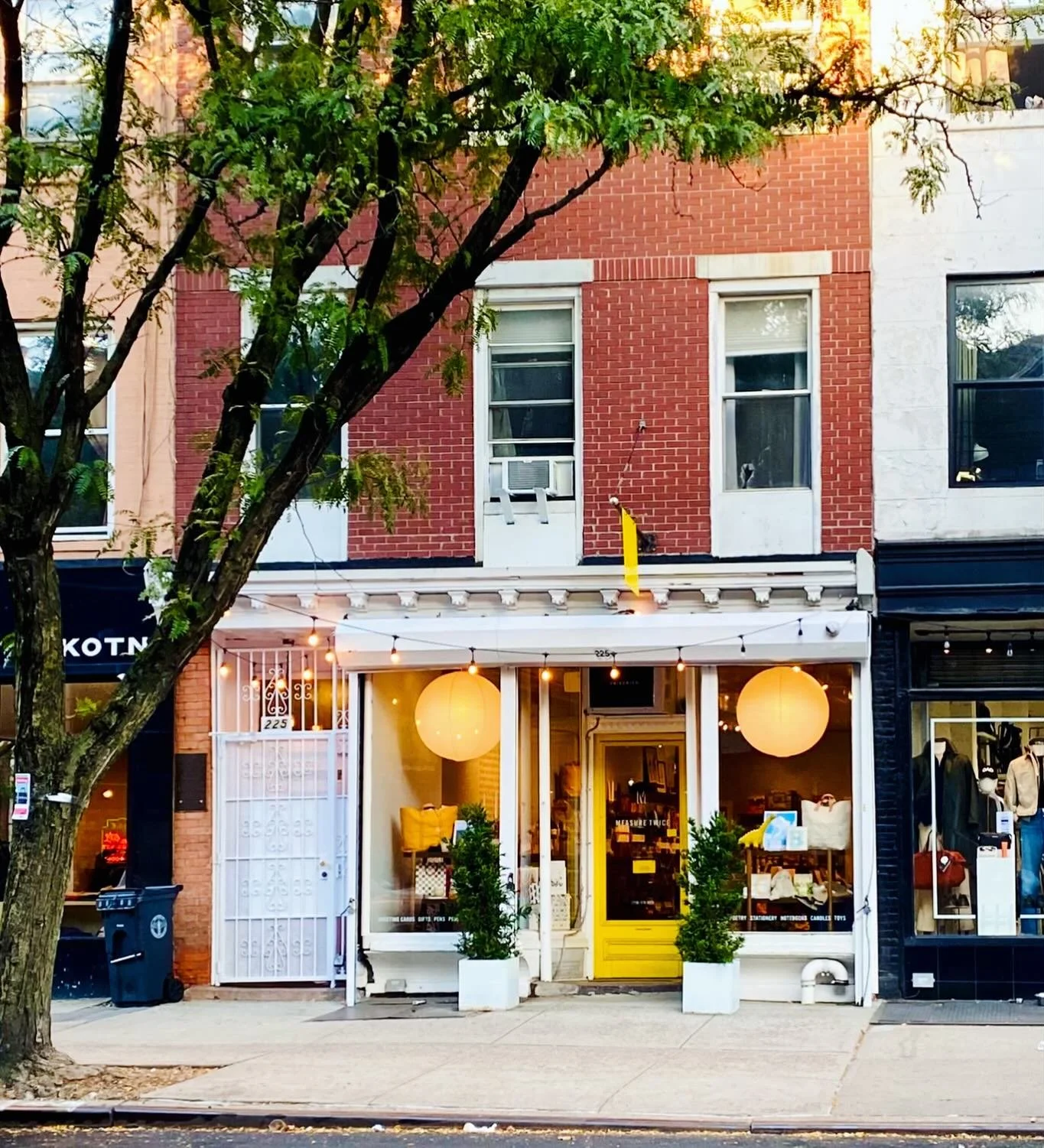 Six years old today!! 🥳💛
More importantly: 🚫 NO KINGS!! 🚫 💪🏾💪🏻💪🏽