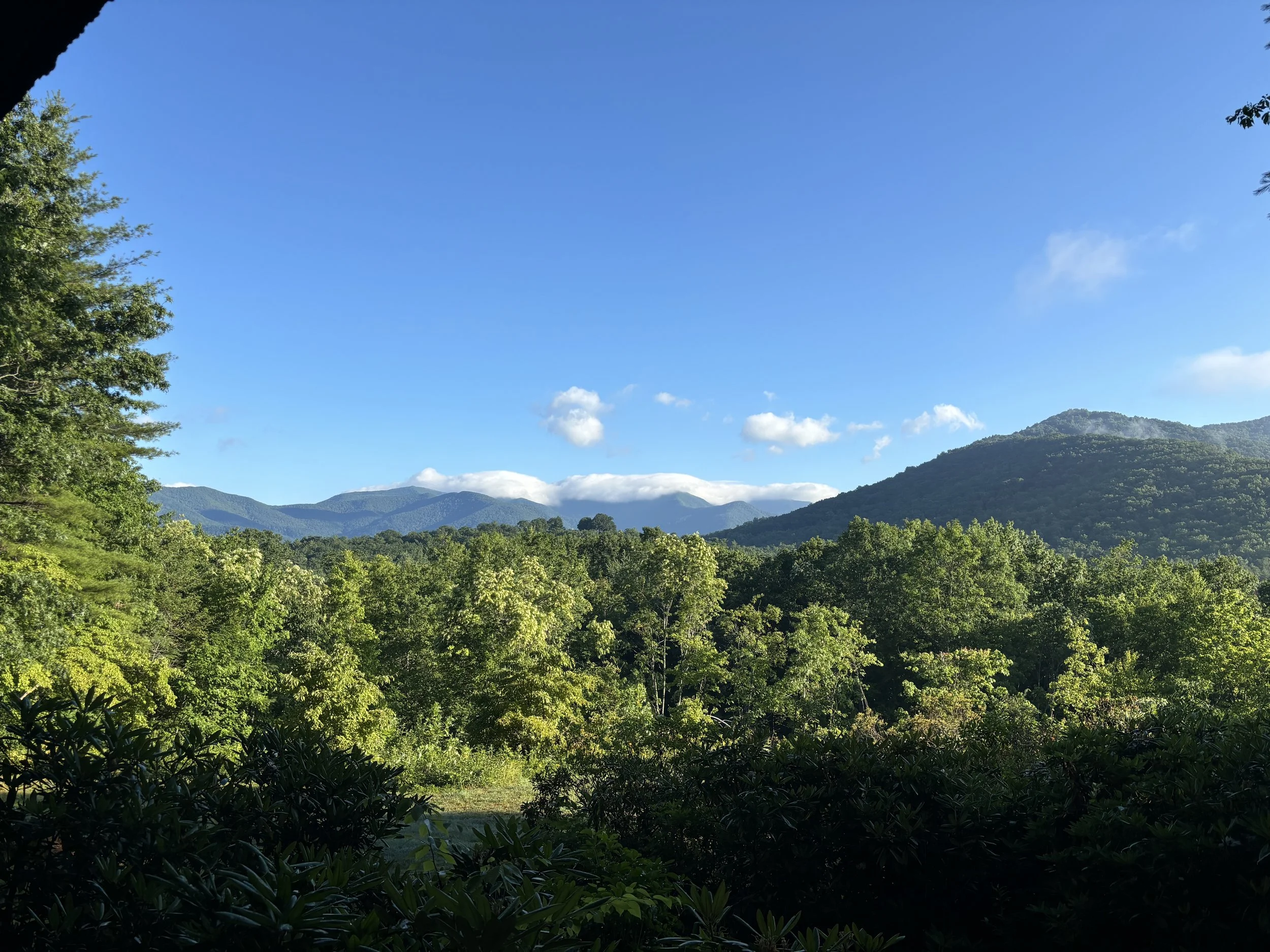 IMG_2057.jpeg