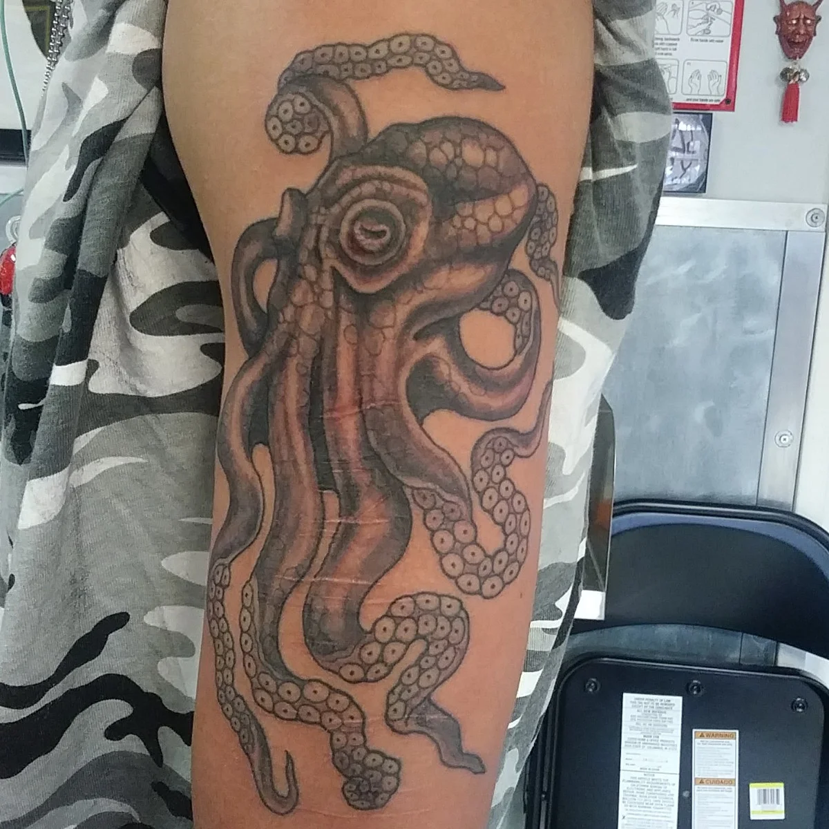 Octopus
