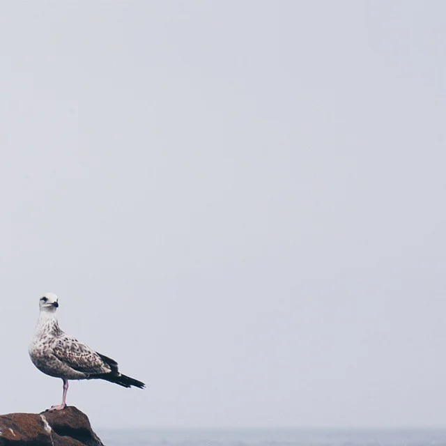 2015.03.31 · 16:19 · Qingdao