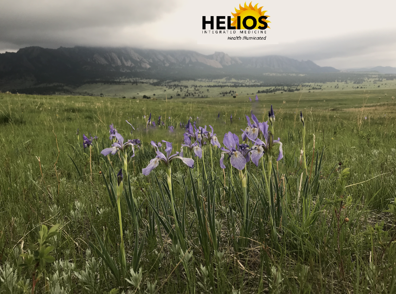 Helios Spring Newsletter