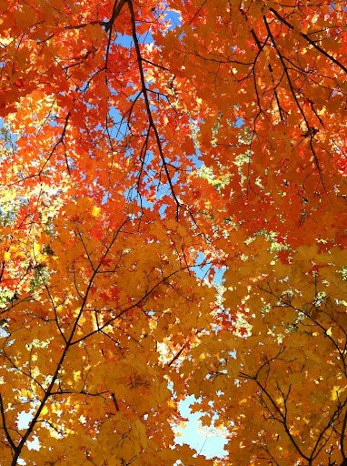 October 2021 Newsletter