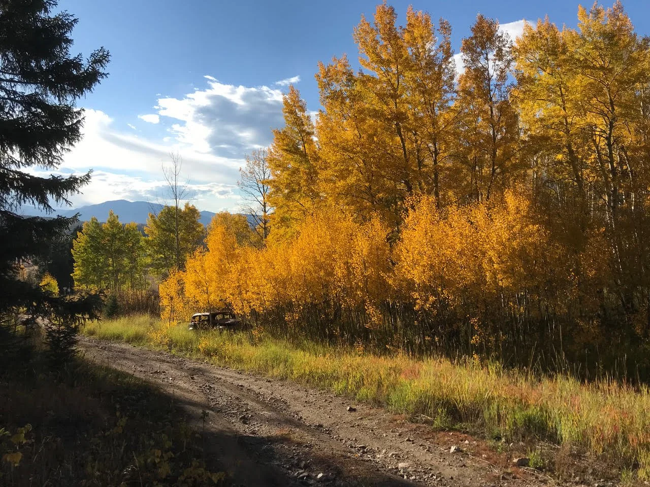 Fall 2022 Newsletter